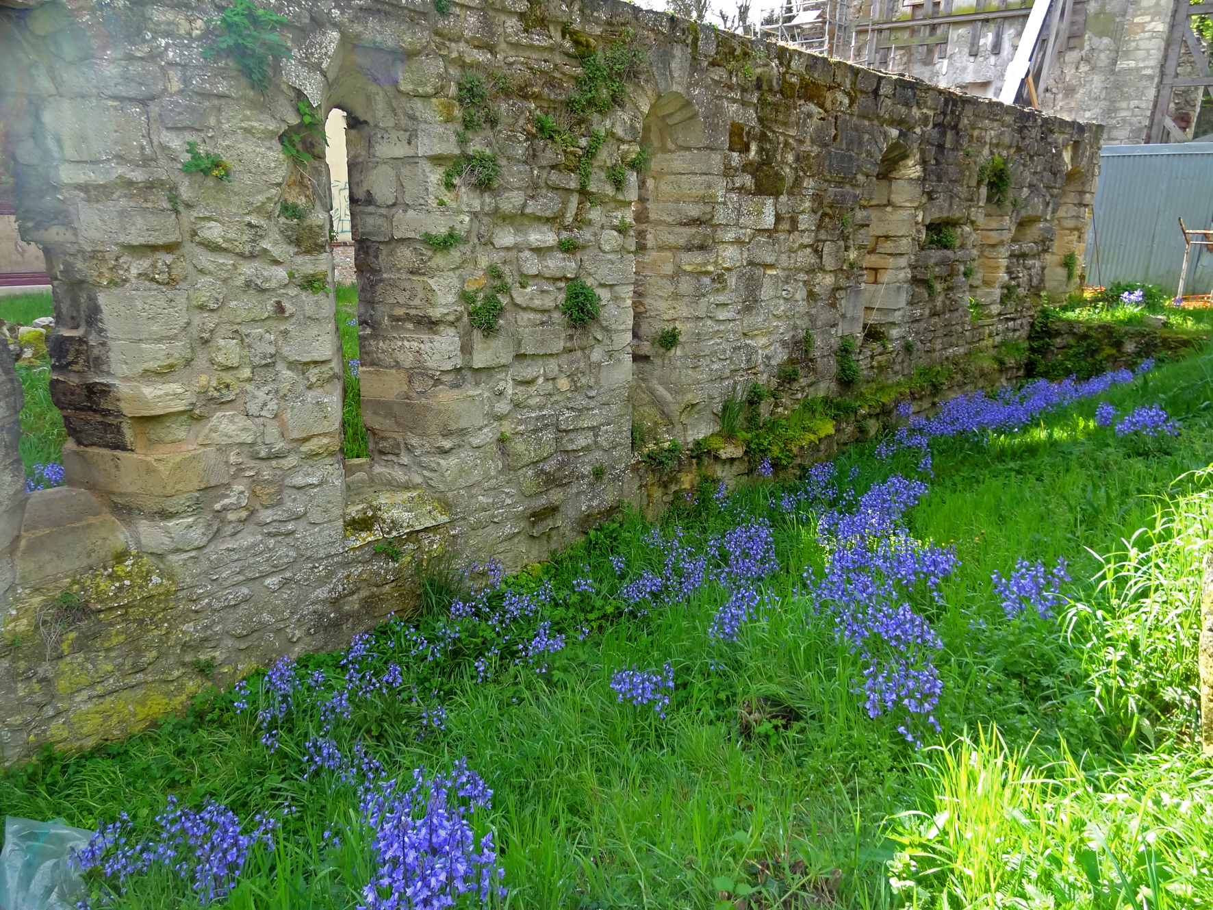 Le mur roman du cellier de l'ancienne abbaye de Saint-Maur